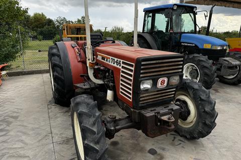 TRATTORE FIATAGRI 70-66 FRUTTETO DT